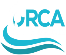 orca ship agents
